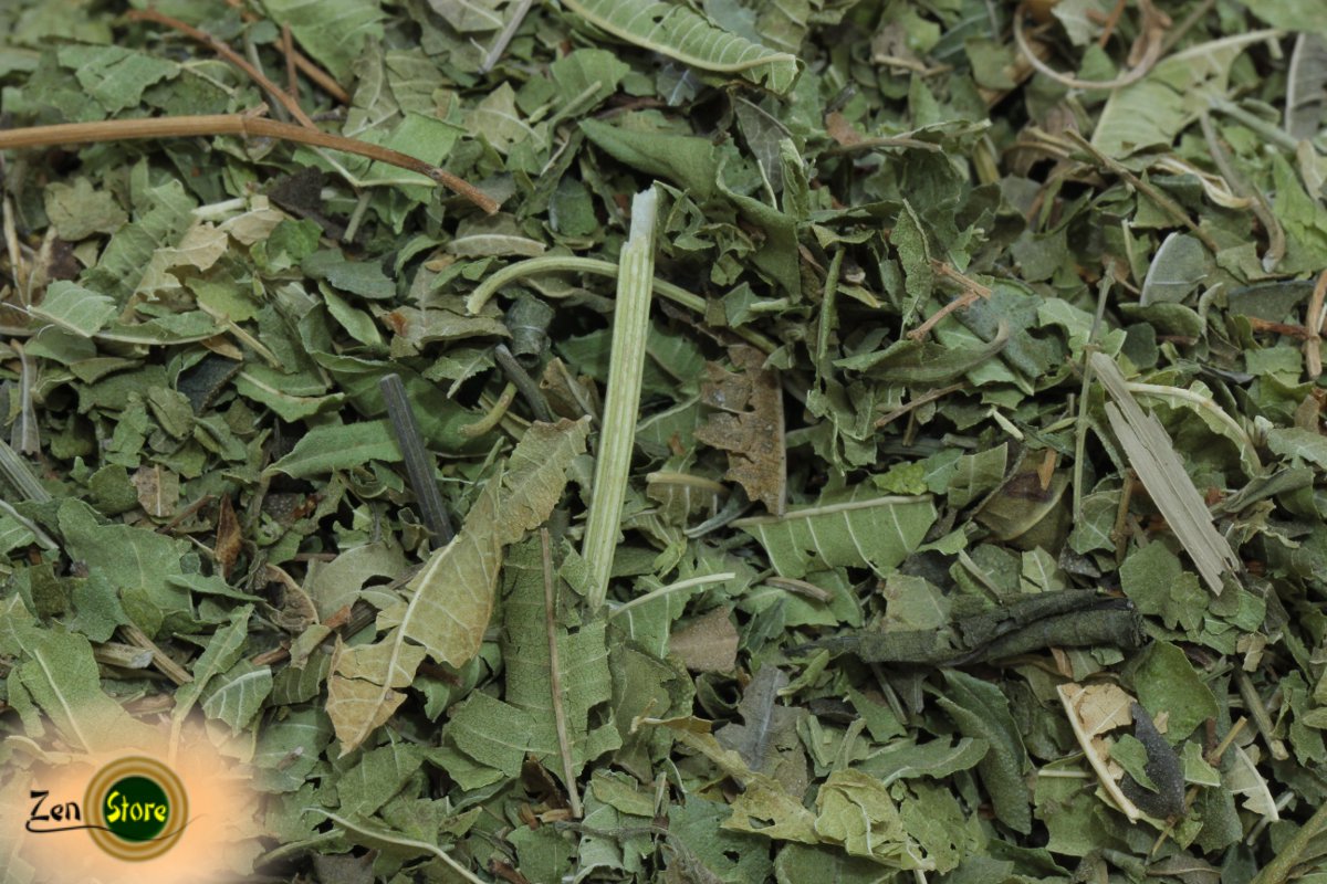 Verbena odorosa (Erba Luigia o Lippia citriodora) proprietà